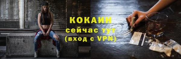 сатива Дмитровск