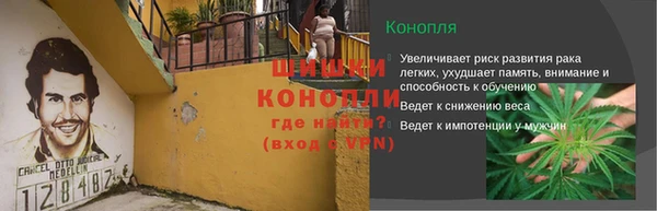 сатива Дмитровск