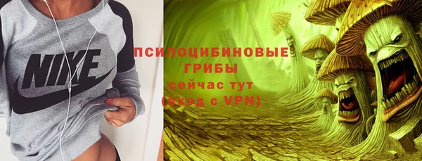 сатива Дмитровск