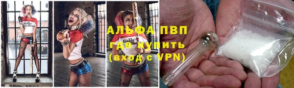 сатива Дмитровск