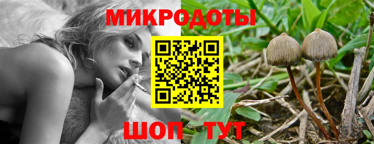 Галлюциногенные грибы мицелий  Вход с VPN  Зеленодольск 